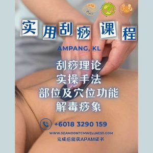 实用刮痧课程 Guasha Workshop