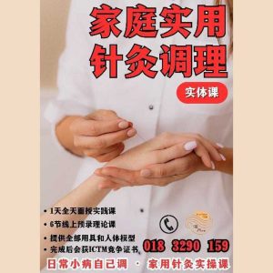 家庭实用针灸调理 Practical Family Acupuncture & Healthcare