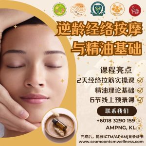 逆龄经络按摩与精油基础 Age Reversal Meridian Massage & Essential Oil Fundamentals