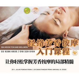 经络芳香按摩入门课程